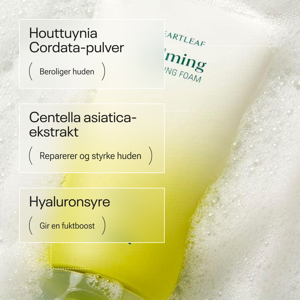 Goodal Houttuynia Cordata Calming Ph Balancing Cleansing Foam
