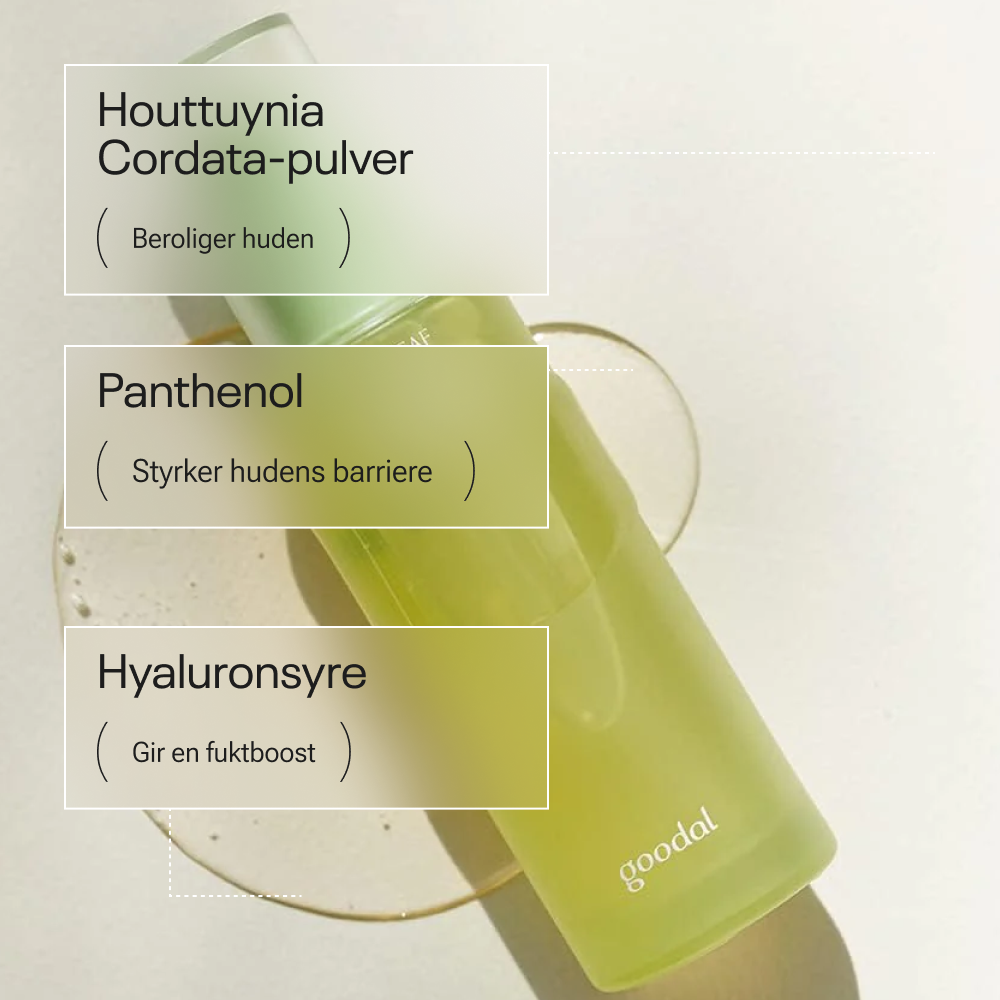 Goodal Houttuynia Cordata Calming Moisture Serum