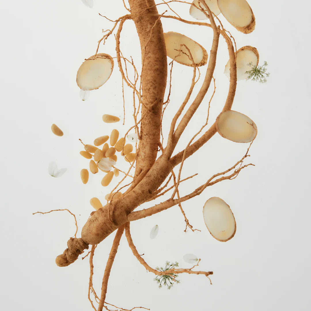 Beauty of Joseon Ginseng Retinol Firming Cream