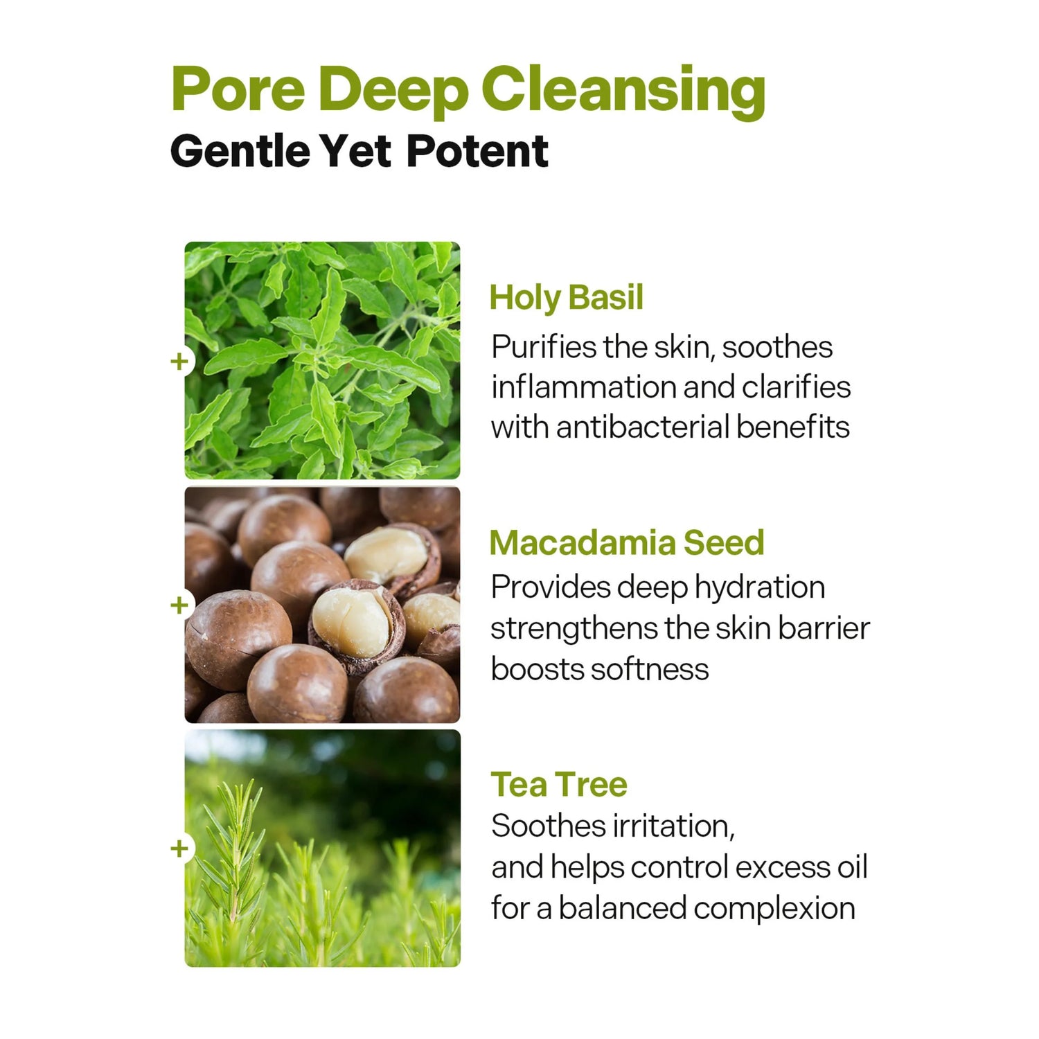 P.CALM Underpore Holy Basil Cleansing Oil