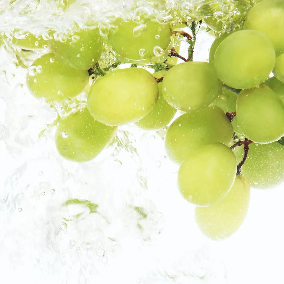 Thank You Farmer Grape Aqua Hyaluron Biome Cream