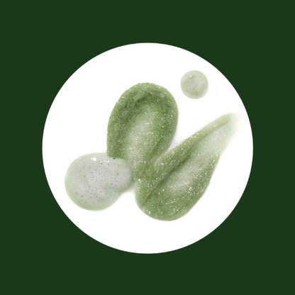 Kundal Matcha &amp; Kale Clarifying Sea Salt Scalp Scrub - Herb Mint
