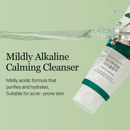 Round Lab Pine Calming Cica Cleanser