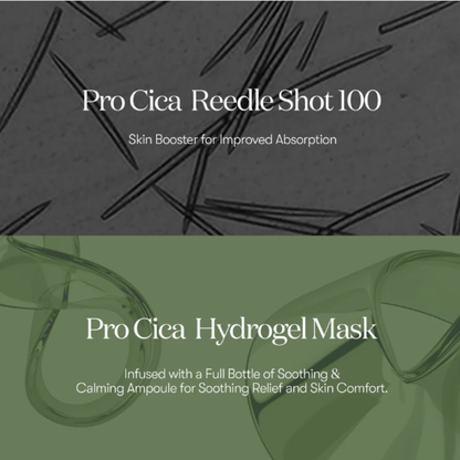 VT Cosmetics Pro Cica Reedle Shot 100 2 Step Hydrogel Mask