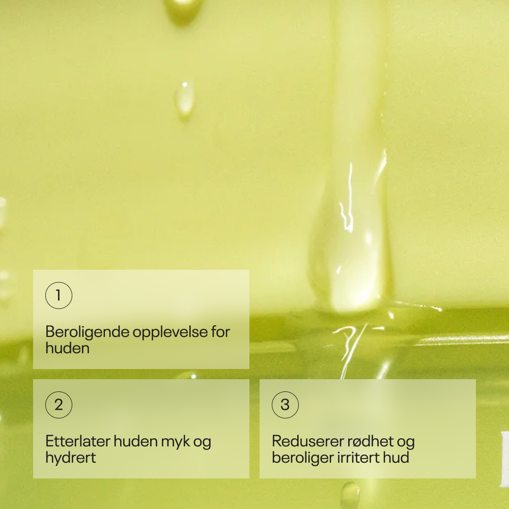 Goodal Houttuynia Cordata Calming Toner Pad