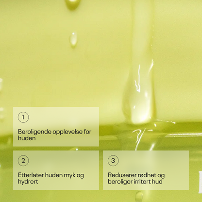 Goodal Houttuynia Cordata Calming Toner Pad