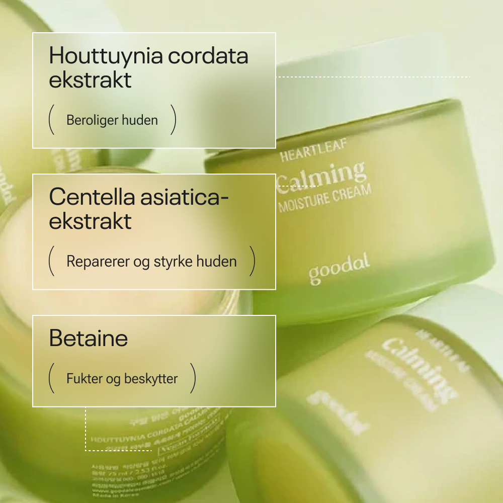Goodal Houttuynia Cordata Calming Moisture Cream