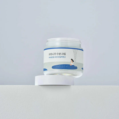 Round Lab Birch Juice Moisturizing Cream