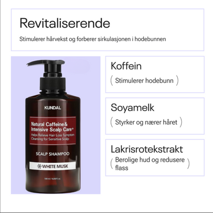 Kundal Natural Caffeine &amp; Intensive Scalp Care+ Scalp Shampoo White Musk